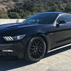 GT
