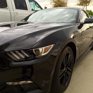 Shot at work couple days after driving her home form the dealership.