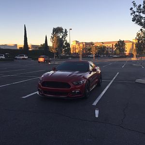 Stadium Promenade Lot SC_Ruby needs more ponies