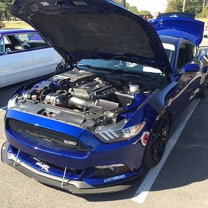Car Show