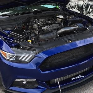 Car Show