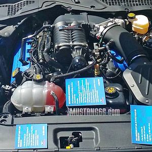 2015 Under hood of new Mustang 
(Display at Ford Nationals 2014)