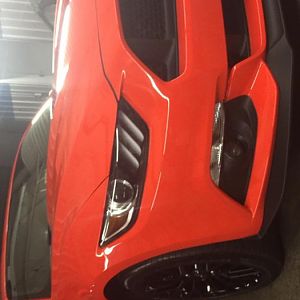 IMG 1224