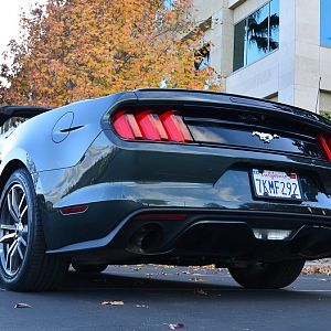 DSC 1943