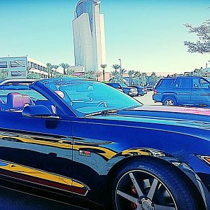 2015 12 13 10.43.31 1 (Medium)