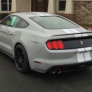 rear qtr. Sorry, these are not pics I took.