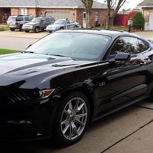 In our driveway
