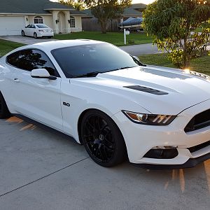 freshly sealed