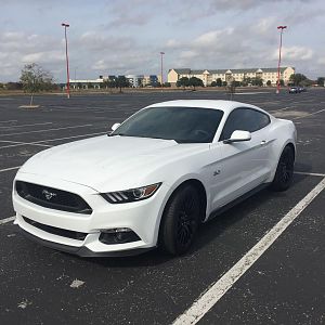 My oxford white stang
