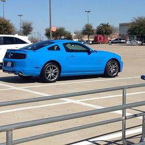 2013 Grabber Blue GT