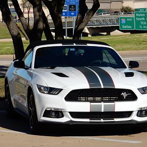 Mustang