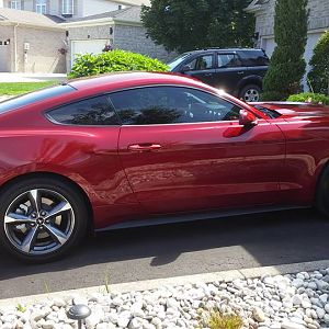 2015 mustang