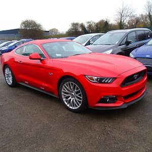 New Fastback