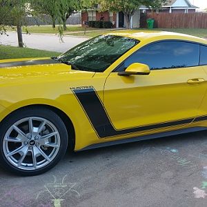 Just after getting Tint. And yes, I have kids!