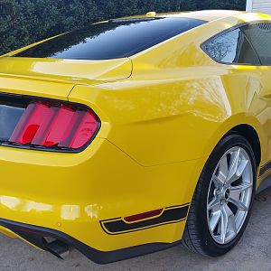 Rear