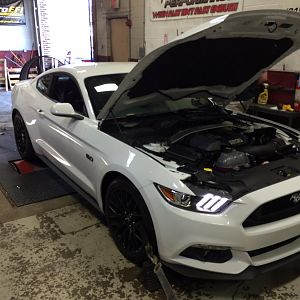 Dyno time
