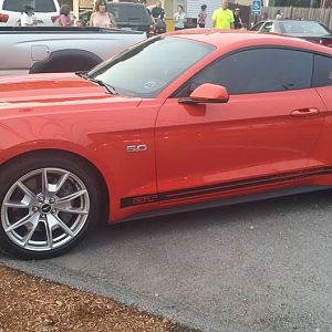 newtint