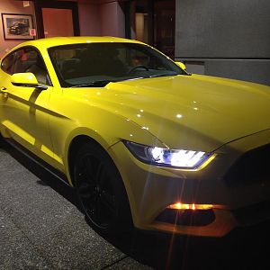 Dealer
