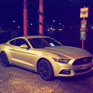 Stang in Paris