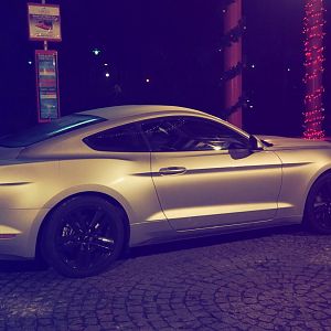 Shelby