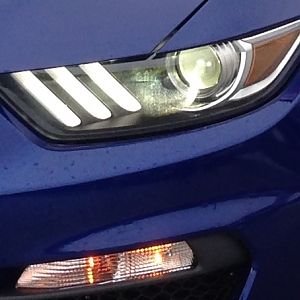 eye