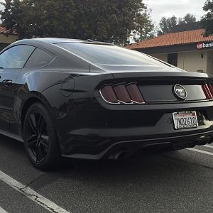 Tinted tailights