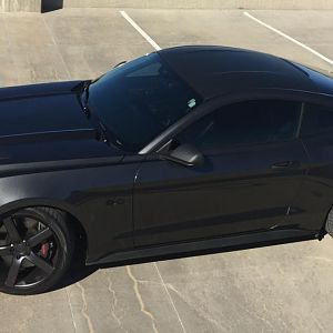 Black Matte roof, grill, lower bumber, side mirrors, vent inserts,