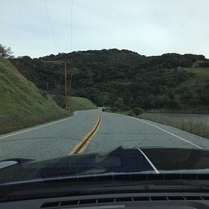 IMG 8558