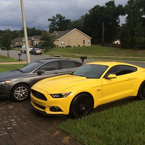 The family.