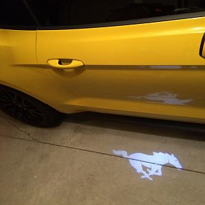 Puddle lights!