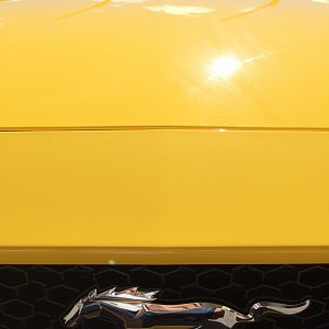 Mellow Yellow.