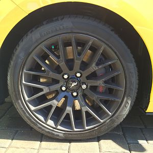Two weeks of brake dust on PP wheels.