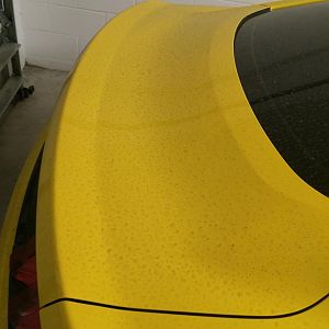 Yellow gets really dirty really fast!