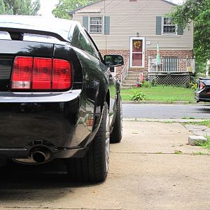 IMG 2181   web