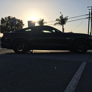 Silhouette shot