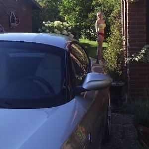 august 14th 2012 elena buecker alois buecker bmw z4 35i 3