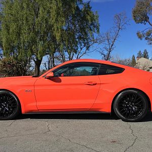 Steeda progressive springs...