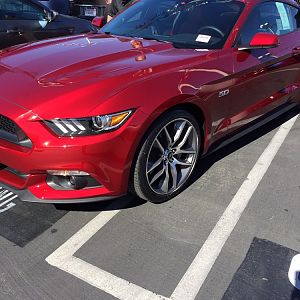 Yes, I want to look at a Mustang...?