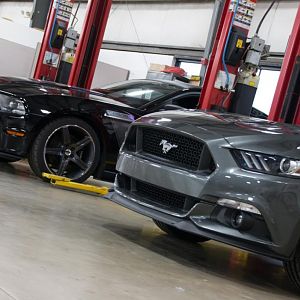My 2012 ROUSH Mustang with Built Aluminator Engine, and my new 2016 GT Premium Performance Pack.