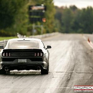 Track