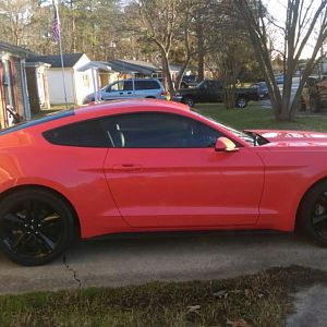 15 ecostang 3