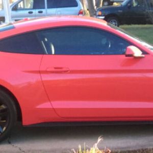 15 ecostang