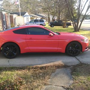 2015 mustang no spoiler