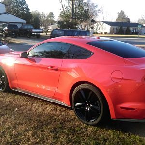 2015 ecostang no spoiler2