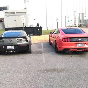 2015 ecostang vs 16 vette3