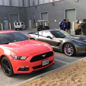 2015 ecostang vs 2016 vette6