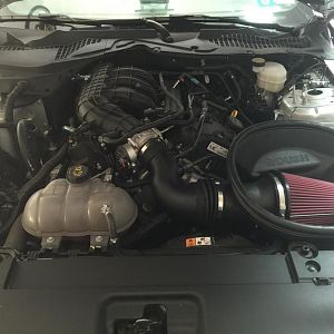 Roush Intake