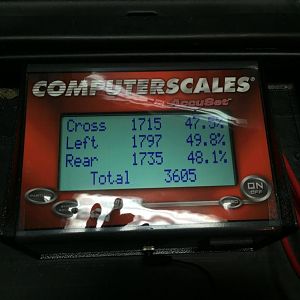 Mustang getting weighed