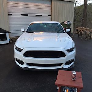 After Plasti Dipping pony.