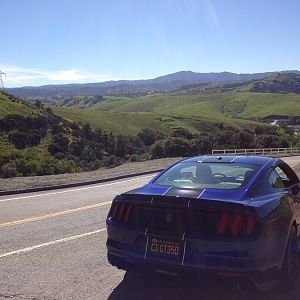 IMG 8771